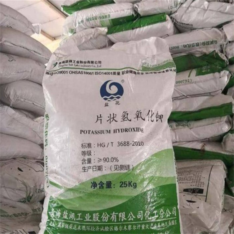 免费看搞逼视频网口人站
